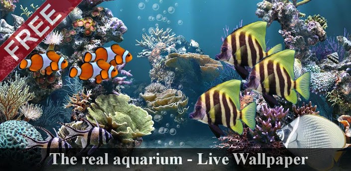 the-real-aquarium